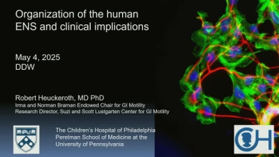 Thumbnail for The Human Enteric Nervous System in Health and Disease