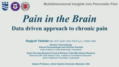 Thumbnail for Multidimensional Insights into Pancreatic Pain