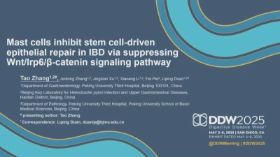 Thumbnail for Immune Cells in Intestinal Inflammation
