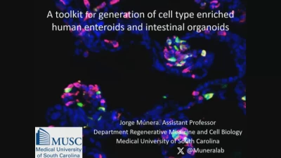 Thumbnail for Cellular & Molecular Gastroenterology (CMG) Section Distinguished Abstract Plenary