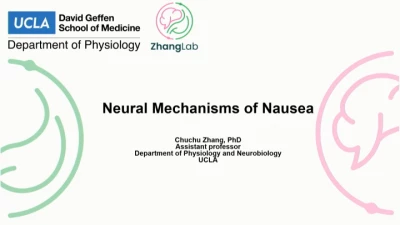 Thumbnail for Nausea — Underlying Neurobiology to Emerging New Therapies
