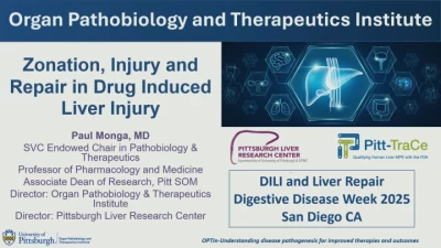 Thumbnail for DILI and Liver Repair