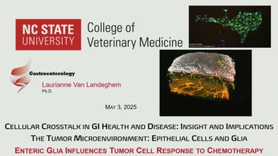 Thumbnail for Cellular Crosstalk in GI Health and Disease: Insights and Implications