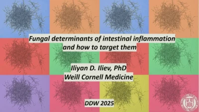 Thumbnail for Beyond Bacteria: The Fungi and Worms of the Human Microbiome and Interaction With Host Health