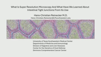 Thumbnail for Super Resolution Microscopy: What We Have Learned From About Intestinal Structure and Function