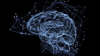 Psychosocial thumbnail image
