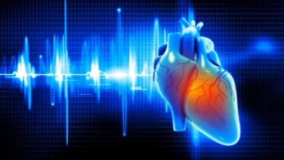 Cardiovascular thumbnail image
