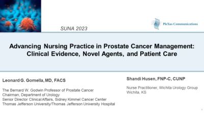 Thumbnail for Advancing Nursing Practice in Prostate Cancer Management: Clinical Evidence, Novel Agents, and Patient Care